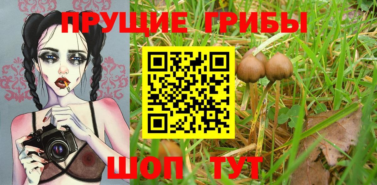 Псилоцибиновые грибы Cubensis  Вход с VPN  Псилоцибиновые грибы Cubensis  Сыктывкар 