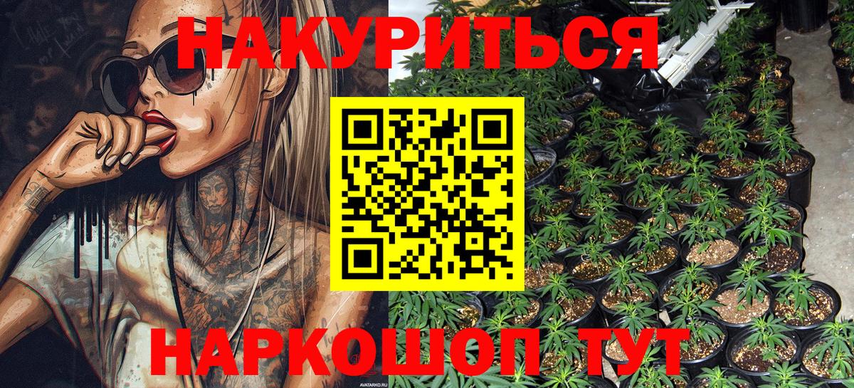 Конопля Bruce Banner Сыктывкар